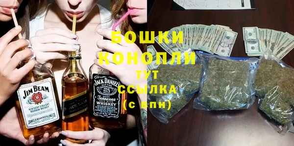 Альфа ПВП Верея