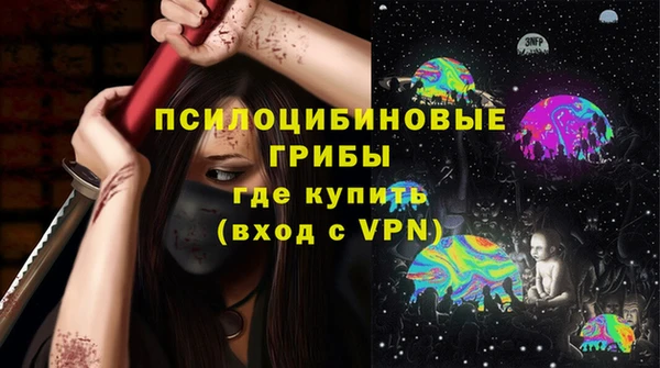 Альфа ПВП Верея